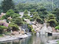 A Peaceful Pause: Hong Kong’s Best Kept Secrets—Chi Lin Nunnery and Nan Lian Garden