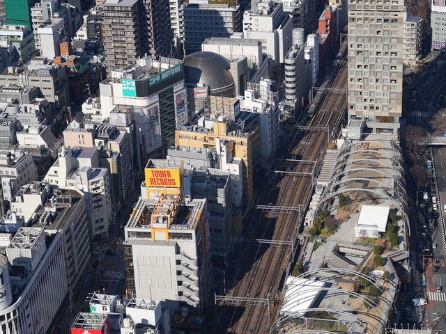 從晴空塔俯瞰絕美東京，東京最出片的地方！🇯🇵🗾