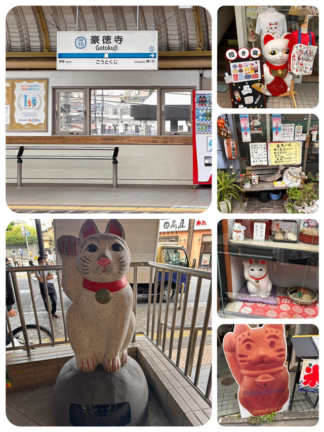尋找東京🇯🇵招財貓🐱之旅 (二)