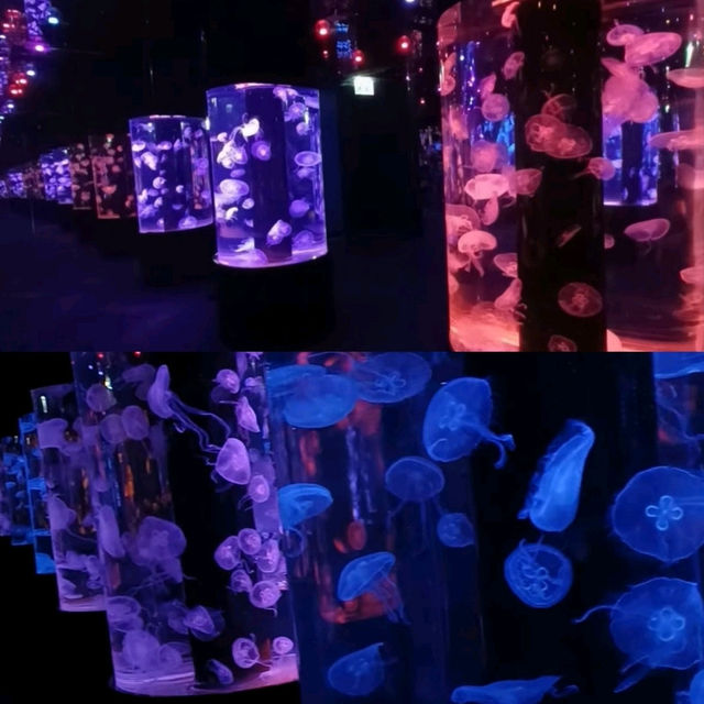 情侶好去處