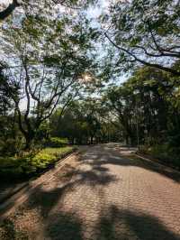 Bird Watch Tower 曼谷詩麗吉王后公園裡的超現代建築