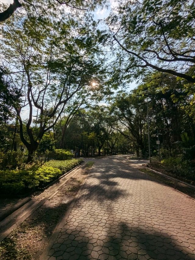 Bird Watch Tower 曼谷詩麗吉王后公園裡的超現代建築