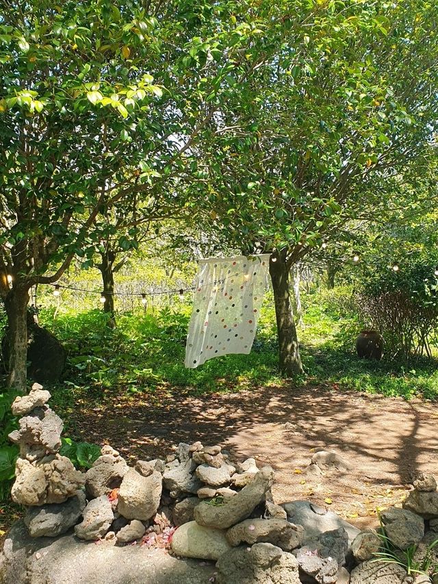 🌺 제주 카멜리아힐, 사계절 꽃과 함께하는 힐링 포토스팟