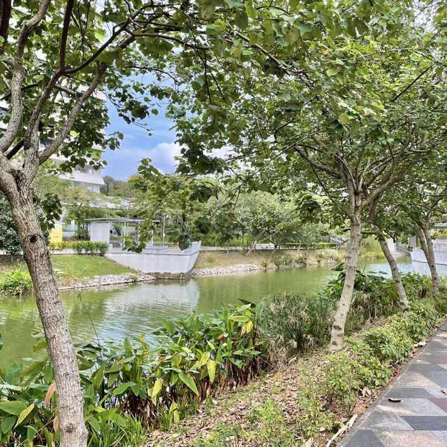 Punggol’s Coastal Charm: A Perfect Day Walk Along the Seaside and Promenade