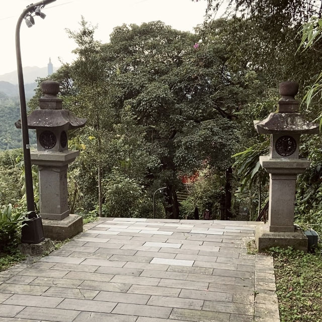 幽靜古樸的指南宮竹柏參道—彷彿走進日式秘境