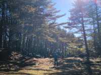 3D2N Chiaming Lake Hike + Camping