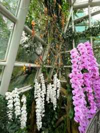 National Orchid Garden