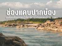 ต้นจามจุรียักษ์ - ปากบ้อง บ้านสองคอน