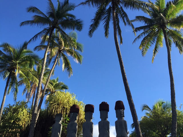 🌺 ✅ハワイ旅行攻略ガイド – カメハメハ大王像・ビーチ・日立の木・ショッピングを満喫！