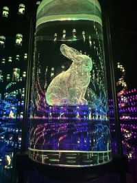 Museum of the Future: A Glimpse into Tomorrow in the Heart of Dubai
