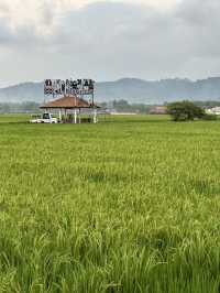 Yogyakarta & Solo: A Journey Through Culture and Nature