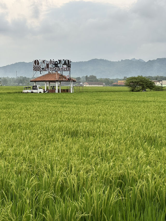 Yogyakarta & Solo: A Journey Through Culture and Nature