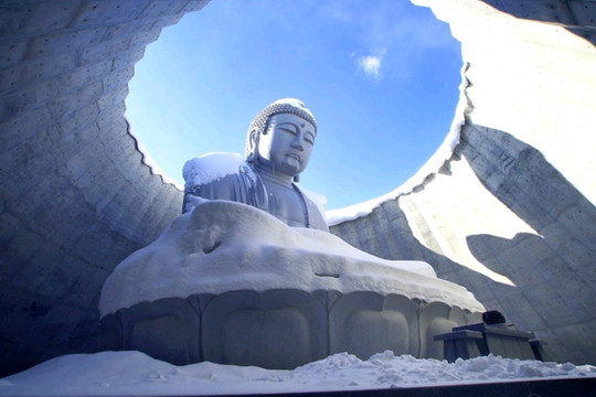 1mi68224x8zj5lki11827_R_600_40