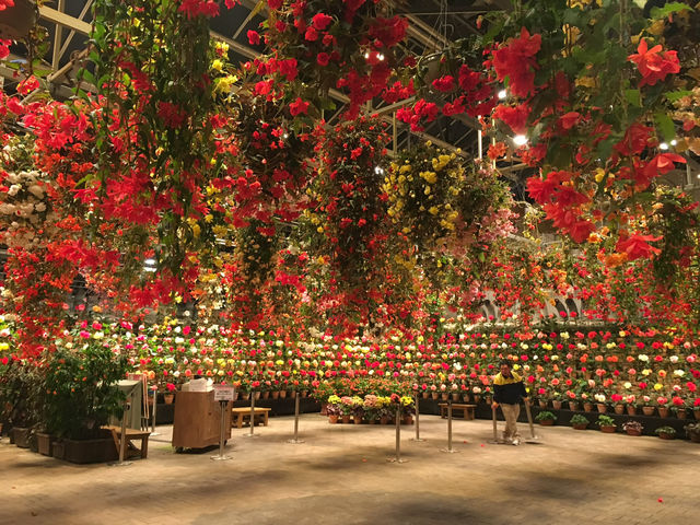 สวนดอกไม้ล้ำๆ และแสงสียามค่ำคืนอลังการ ใกล้นาโกย่า
