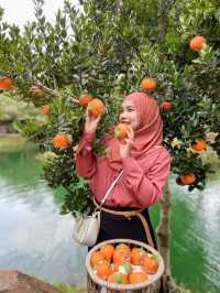 ธารคีรี - สวนกำนัน คาเฟ่ กระบี่