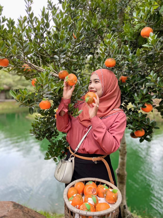 ธารคีรี - สวนกำนัน คาเฟ่ กระบี่