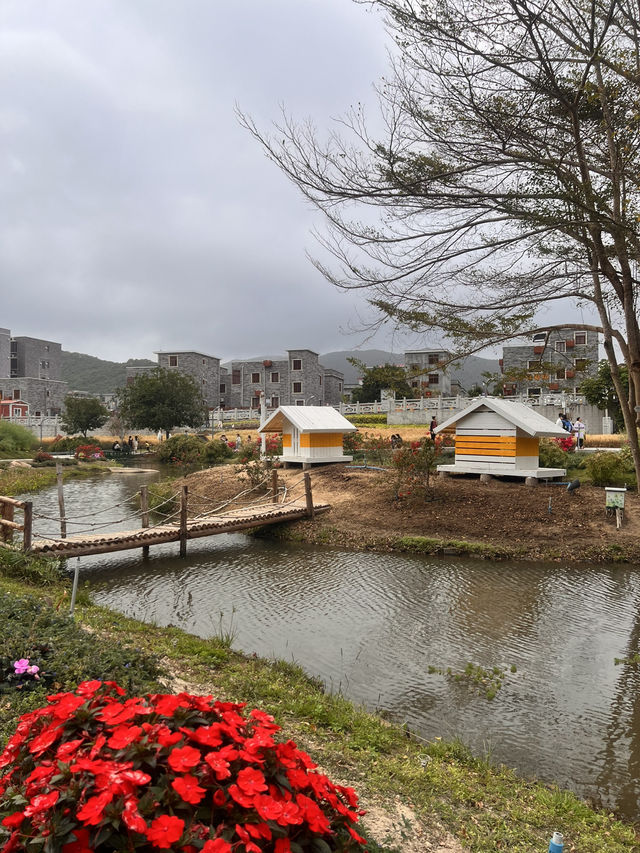 珠海木頭沖村鶴道花海——周末郊遊好去處