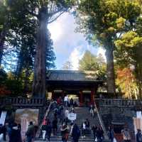 ศาลเจ้านิกโก้โทโชกุ (Toshogu Shrine)