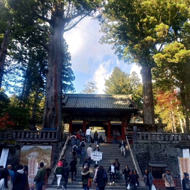 ศาลเจ้านิกโก้โทโชกุ (Toshogu Shrine)