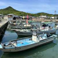 瀨戶內海單車旅行