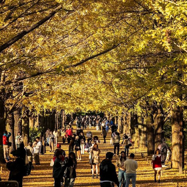Showa Kinen Park (昭和記念公園)