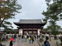 Majestic Todai-ji: Where Ancient Beauty Meets Tranquil Nature