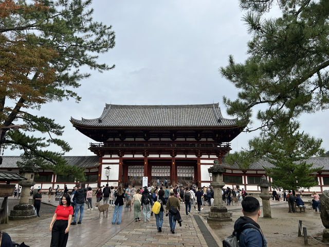 Majestic Todai-ji: Where Ancient Beauty Meets Tranquil Nature