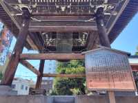 有名寺🤍【大須観音】