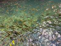 Fangzeyuan Park: A Serene Retreat Amidst Nature