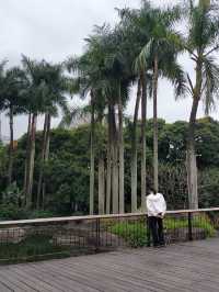 深圳荔枝公園：城市中的綠意避風港 🍃🌳