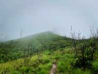 ภูสอยดาวหน้าฝน กับทุ่งหญ้าเขียวขจี 🌧️🍃
