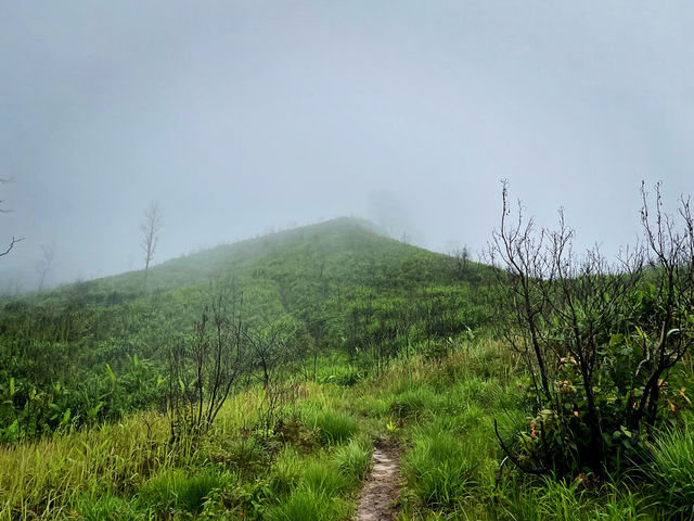 ภูสอยดาวหน้าฝน กับทุ่งหญ้าเขียวขจี 🌧️🍃