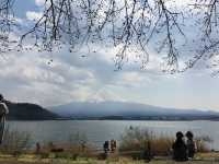 ภูเขาไฟฟูจิ & ทะเลสาบคาวากูชิโกะ ดีย์ต่อใจ