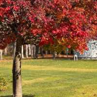 Sapporo Art Park