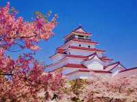 Osaka Castle Park in Bloom: A Springtime Hiking Adventure