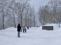 Hakuba Iwatake Mountain Resort