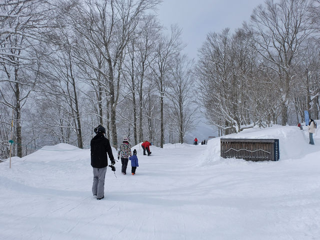 Hakuba Iwatake Mountain Resort