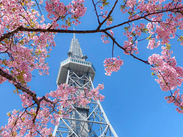 ต้นซากุระ @Sakae Street, Nagoya