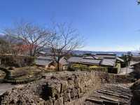 鹿児島の隠れスポット！仙巌園