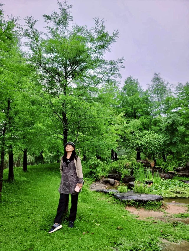 苗栗三義浪漫景點ㄧ日遊～天空之城