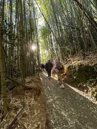 司馬庫斯，一個風景美到讓人充滿力量的地方！