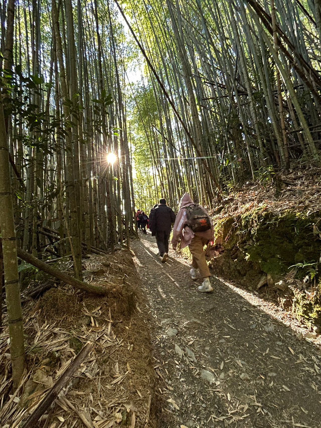 司馬庫斯，一個風景美到讓人充滿力量的地方！