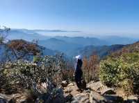 鳶嘴山