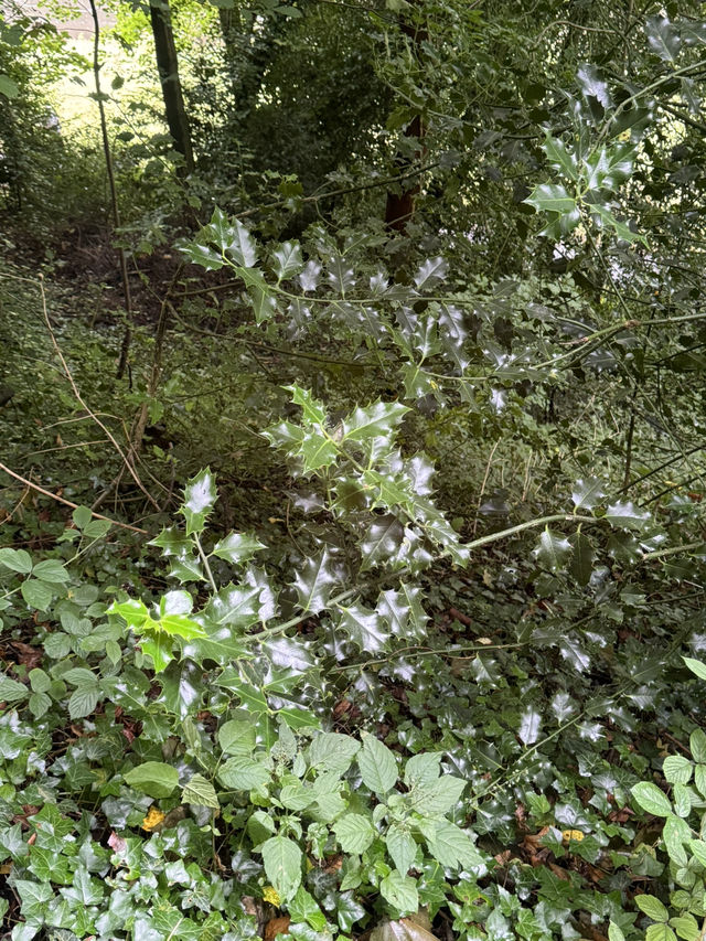 Spring Riverside Walk in Durham: A Stroll with a View