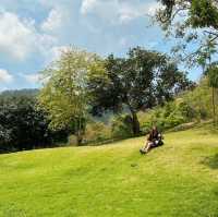 คาเฟ่เปิดใหม่ชลบุรี Shush เหมือนไปเขาใหญ่ 
