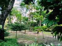 泰國曼谷市中心城市綠洲湖泊公園免稅店一日遊行程，適合休閒逛街打卡拍照📸