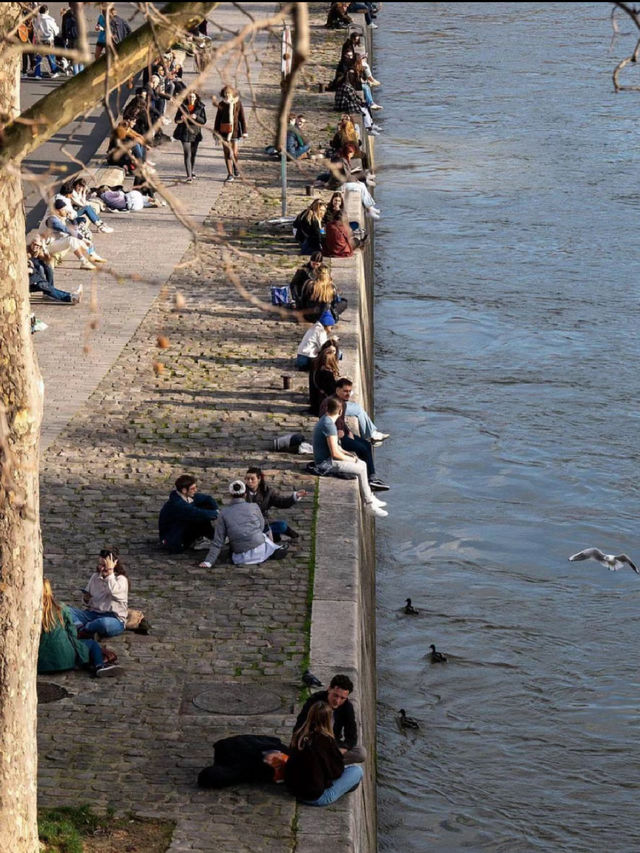 🌊 Seine River – The Heart of Paris! 🇫🇷