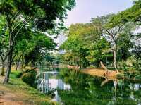 泰國曼谷市中心素坤逸區城市綠洲公園一日遊行程，親子遊行程，素坤逸繁華大道，適合打卡拍照📸親子遊