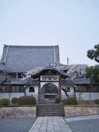【愛知】行かなきゃ損‼️カメラ好きの憧れ✨額縁みたいな絶景🌸