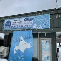 7 Days in Sapporo